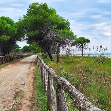 Essential Near The Bibione