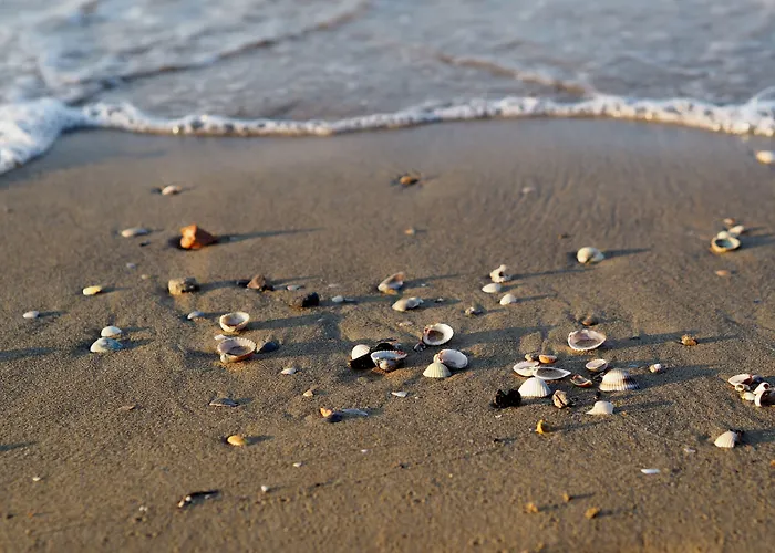 Essential Near The Appartement *