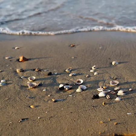 Essential Near The Appartement