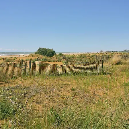 Essential Near The *