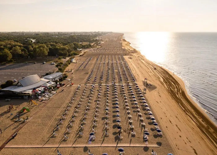 Essential Near The Apartment